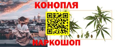 ПСИЛОЦИБИНОВЫЕ ГРИБЫ Канаш