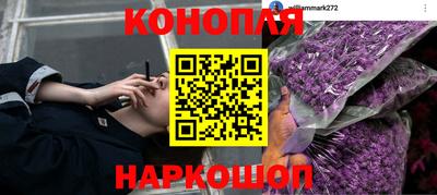 МДПВ Кандалакша