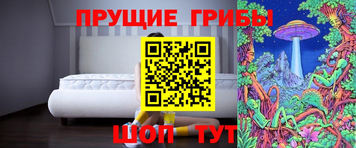 Галлюциногенные грибы MAGIC MUSHROOMS  Вход с VPN  Кудрово 