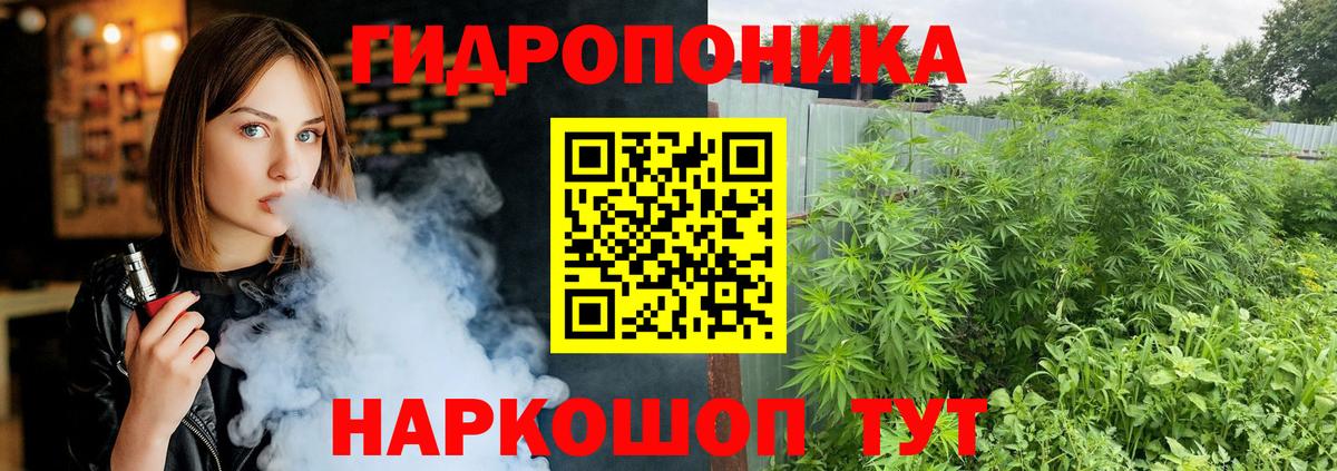 Шишки марихуана SATIVA & INDICA  МАРИХУАНА MAZAR  Кудрово  Вход с VPN 